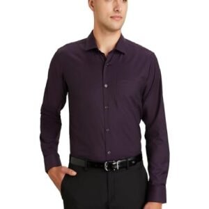 Men's Wrinkle-Resistant Regular Fit Cotton Formal Shirt
